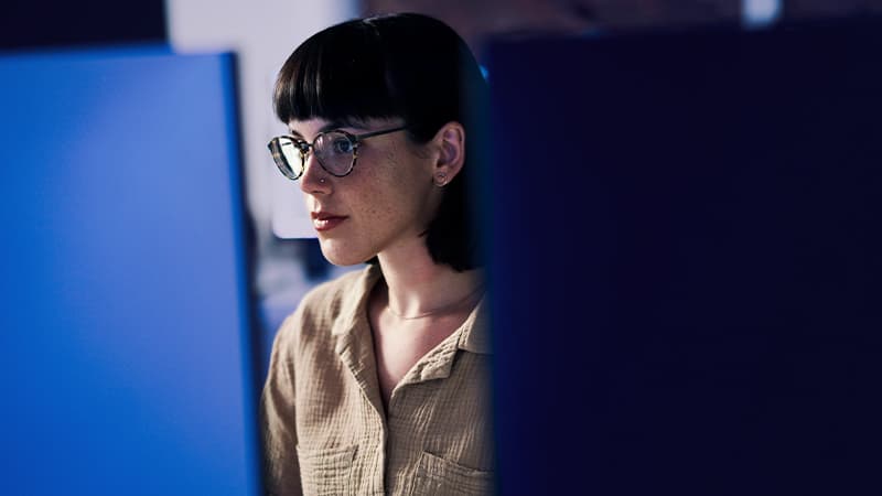 Woman And Computer For Software Engineering