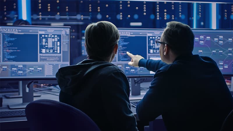 Two Professional IT Programers