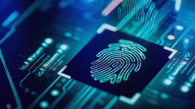 Digital Threats Skyrocket The Answer Lies In Professional Defense